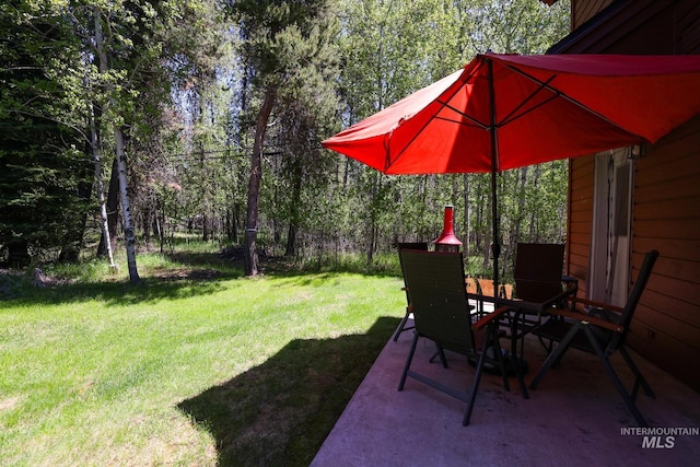 141 Stibnite St Unit 15, Mccall, ID 83638 - view of green lawn with a patio