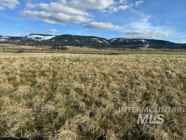 TBDPARCEL2A Whitetail Dr, Grangeville ID, 83530 land for sale