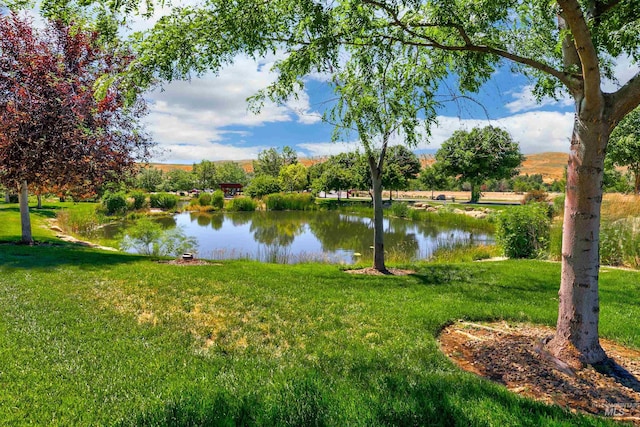 20513 N Glenisla Ave, Boise, ID 83714 - view of water feature