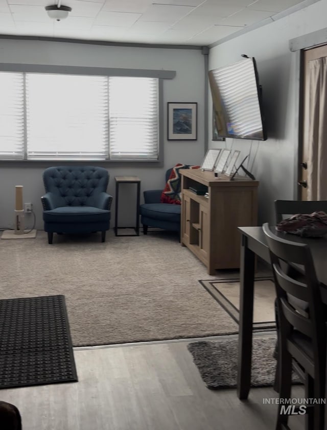 living room with light wood-type flooring