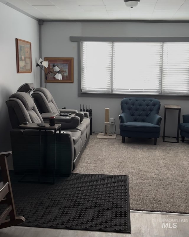 living room with a healthy amount of sunlight and carpet flooring