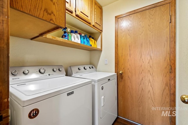 laundry area featuring cabinets and washer and clothes dryer