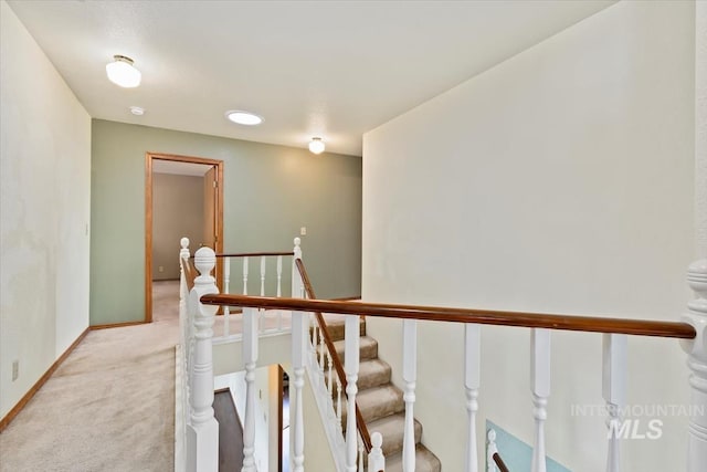 staircase featuring carpet floors