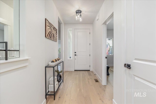 11304 W Helenium Dr, Star, ID 83669 - foyer entrance featuring light wood-type flooring and baseboards
