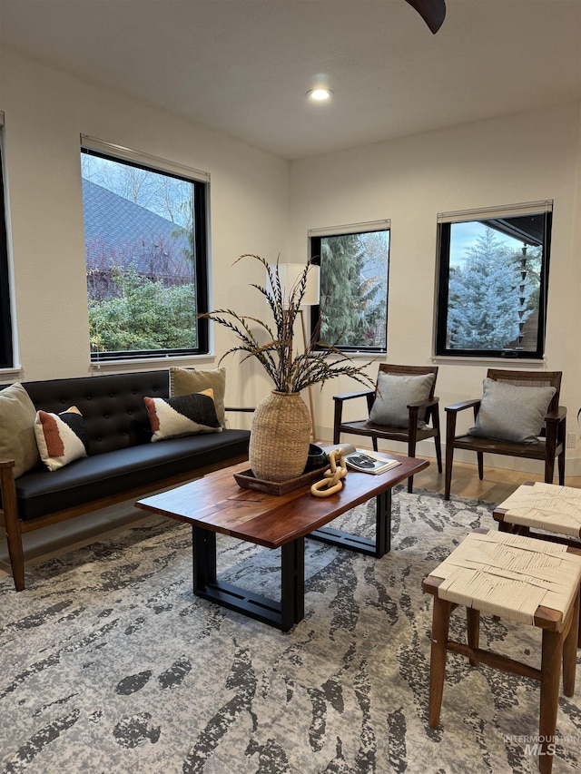 living room featuring hardwood / wood-style floors