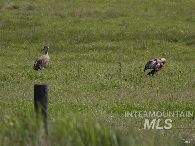 LOT3BLK11 Southfork Ln, Garden Valley, ID 83622
