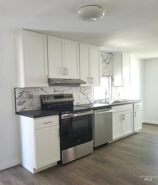 116 E 2nd St, Middleton, ID 83644 - kitchen featuring stainless steel appliances, under cabinet range hood, a sink, white cabinets, and tasteful backsplash