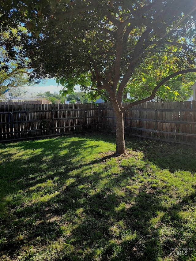 116 E 2nd St, Middleton, ID 83644 - view of yard