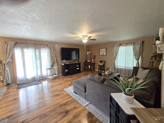 1451 Spurlock Ct, Twin Falls, ID 83301 - living room featuring plenty of natural light, a ceiling fan, wood finished floors, and a textured ceiling