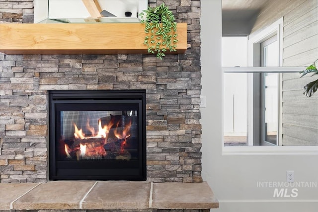 8820 E Snow Drop St, Nampa, ID 83687 - details with a fireplace