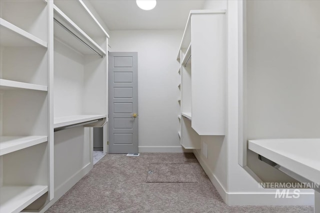 8820 E Snow Drop St, Nampa, ID 83687 - spacious closet featuring carpet flooring
