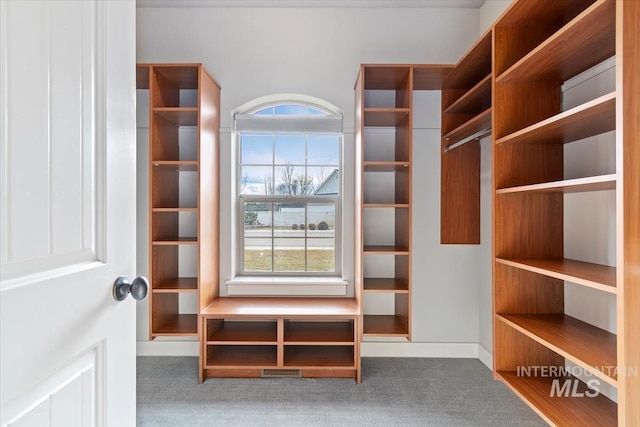 spacious closet featuring carpet flooring