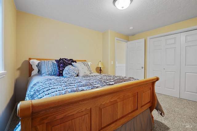 72 Pelican Dr, Rupert, ID 83350 - bedroom with a closet, carpet, and a textured ceiling