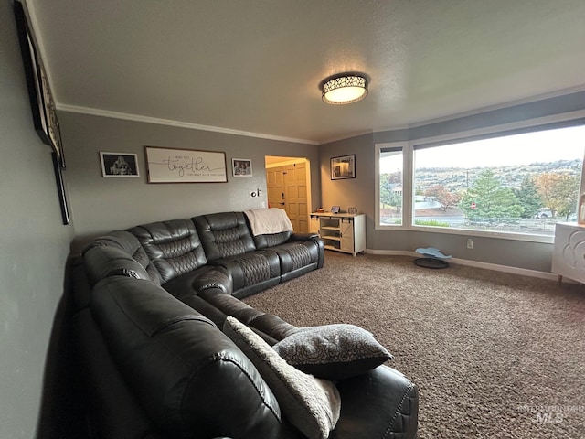 carpeted living room with ornamental molding