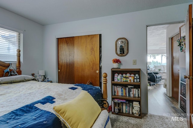 bedroom with wood-type flooring and a closet