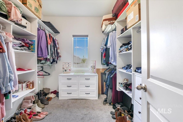 209 W 13th Ave, Jerome, ID 83338 - spacious closet featuring carpet floors
