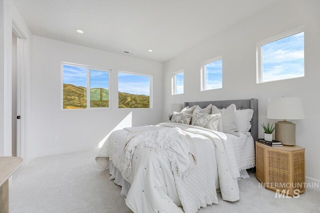 carpeted bedroom featuring multiple windows