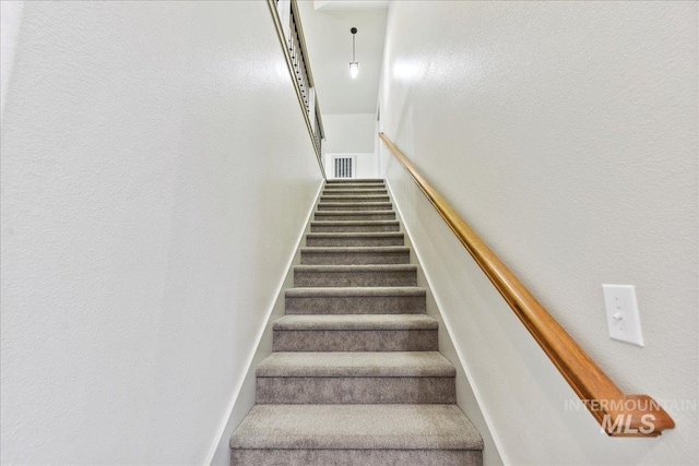 staircase featuring carpet floors