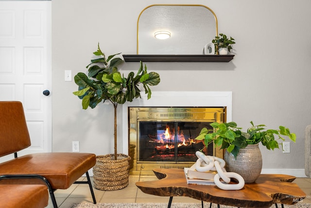 473 E Ranch Dr, Eagle, ID 83616 - detailed view of a glass covered fireplace and baseboards