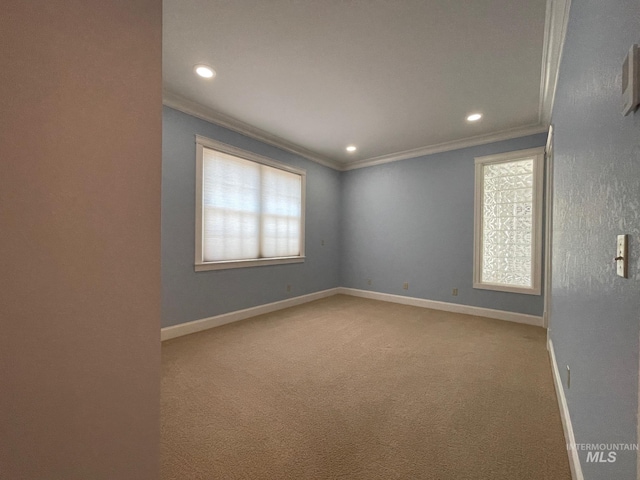 spare room with light colored carpet and ornamental molding