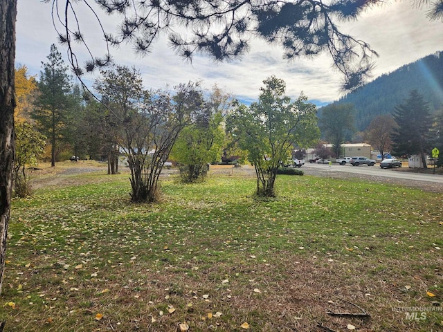 305 N Main, Peck, ID 83545