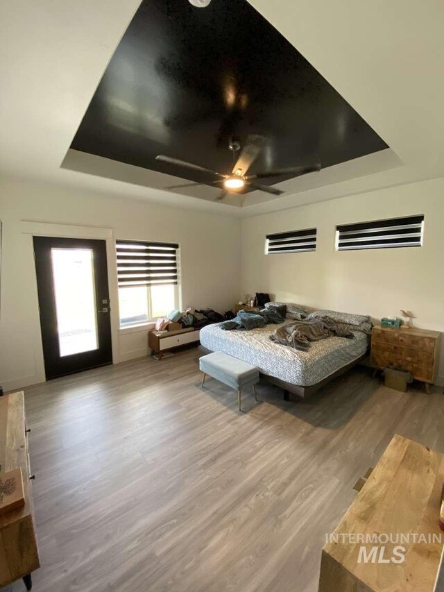 bedroom with a raised ceiling, ceiling fan, and wood-type flooring