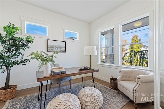 office space featuring dark hardwood / wood-style flooring and a wealth of natural light