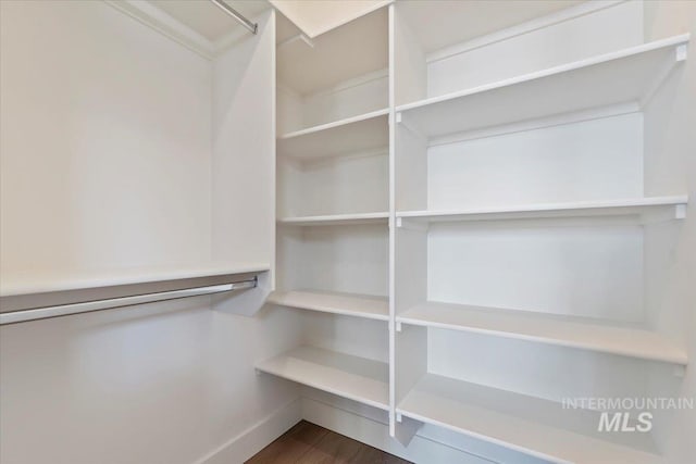 walk in closet with dark hardwood / wood-style floors