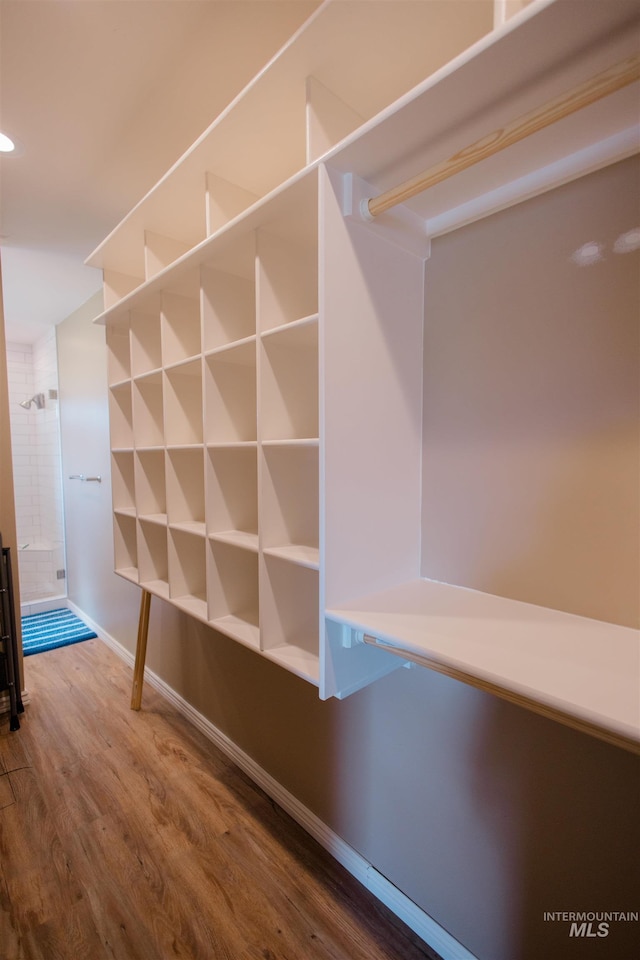 260 State St, Grand View, ID 83624 - spacious closet featuring wood finished floors