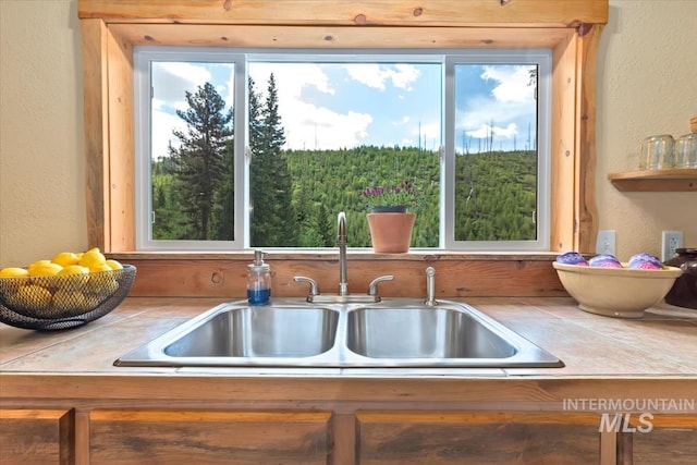 150 W Yuba Vista Dr, Atlanta, ID 83716 - detailed view of a sink, a textured wall, and tile countertops