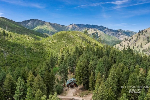 150 W Yuba Vista Dr, Atlanta, ID 83716 - view of mountain background featuring a forest