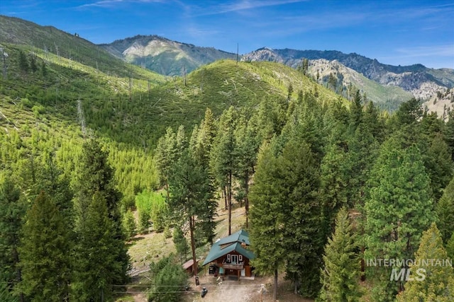 150 W Yuba Vista Dr, Atlanta, ID 83716 - mountain view with a forest