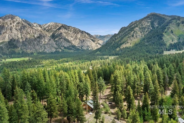 150 W Yuba Vista Dr, Atlanta, ID 83716 - view of mountain background featuring a heavily wooded area