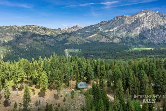 150 W Yuba Vista Dr, Atlanta, ID 83716 - view of mountain backdrop with a forest