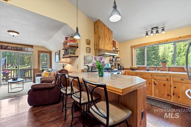 150 W Yuba Vista Dr, Atlanta, ID 83716 - kitchen featuring vaulted ceiling, a sink, dark wood-style floors, ventilation hood, and stove