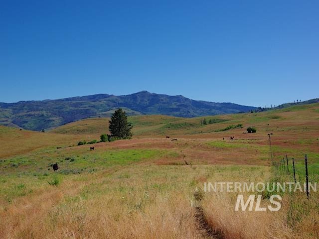 TBD N Grays Creek Rd, Indian Valley ID, 83632 land for sale