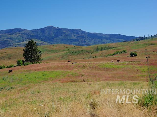 Listing photo 3 for TBD N Grays Creek Rd, Indian Valley ID 83632