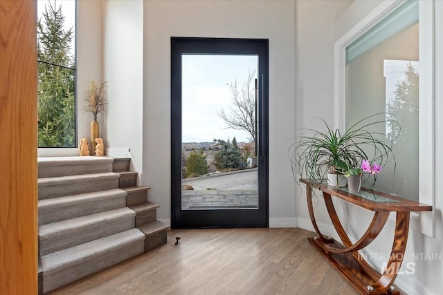 entryway with a wealth of natural light and hardwood / wood-style flooring