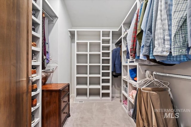 spacious closet with light colored carpet