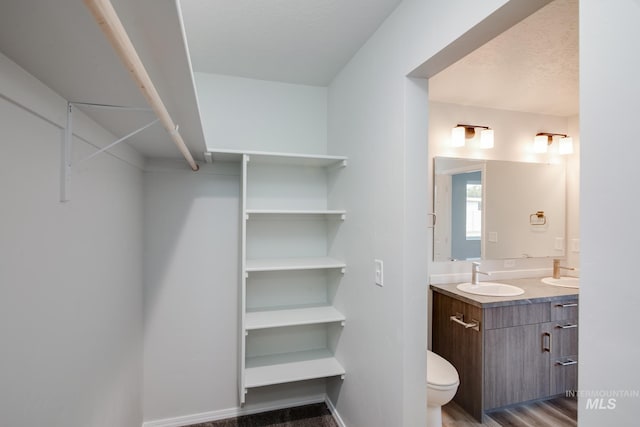 bathroom with a sink, a spacious closet, toilet, and double vanity