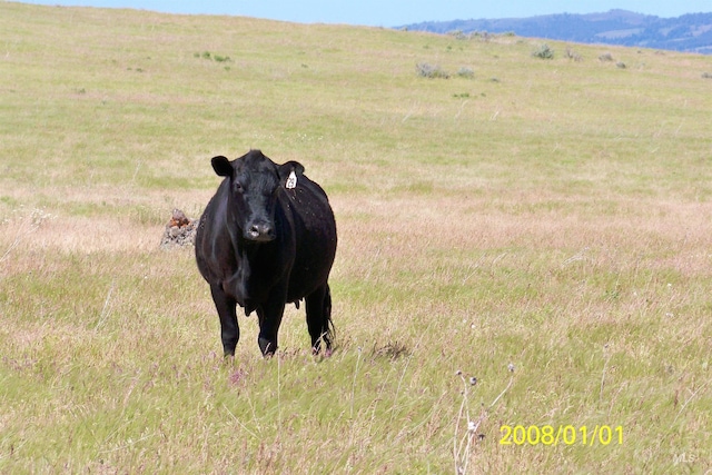 TBD Indian Valley Rd, Indian Valley ID, 83632 land for sale