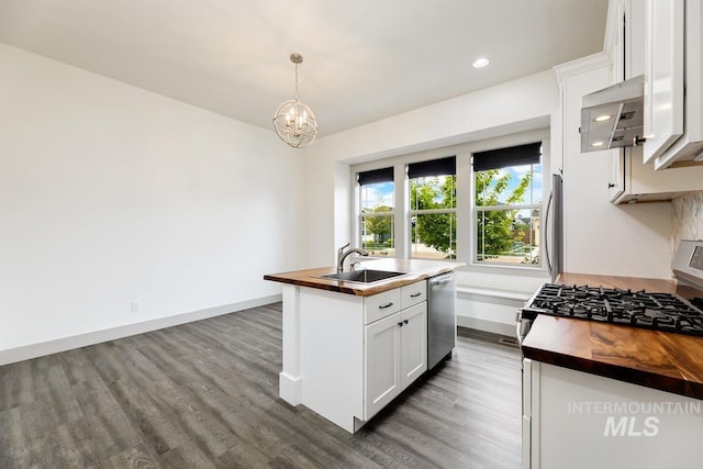 kitchen with butcher block countertops, baseboards, a sink, dark wood finished floors, and stainless steel appliances