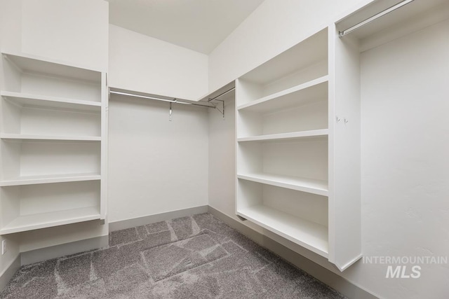 walk in closet with carpet