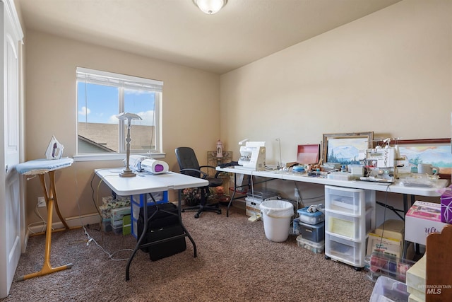 1020 Woodland St, Rupert, ID 83350 - office featuring carpet flooring