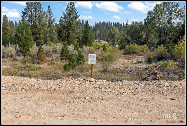 LOT79 Lainey Ln, Idaho City ID, 83631 land for sale