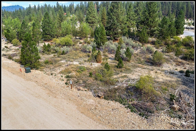 Listing photo 2 for LOT79 Lainey Ln, Idaho City ID 83631