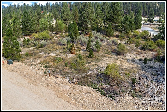 Listing photo 3 for LOT79 Lainey Ln, Idaho City ID 83631