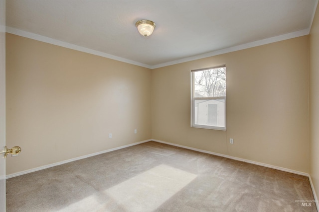 spare room featuring crown molding, carpet, and baseboards