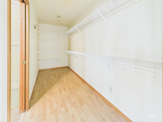 walk in closet featuring light wood-type flooring