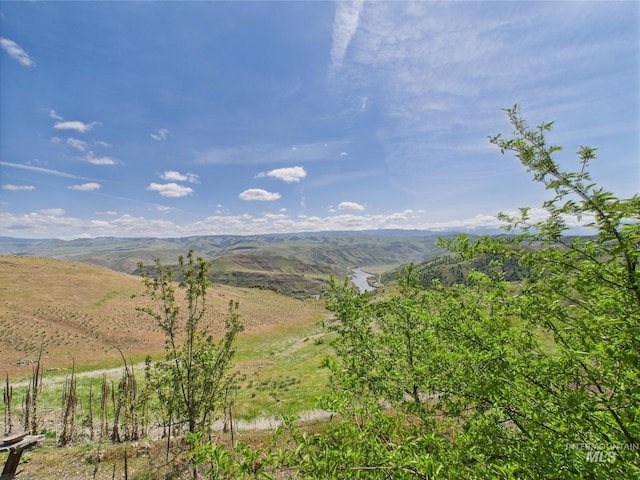 mountain view